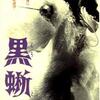 『黒蜥蜴』（1968）深作欣二監督、丸山明宏主演、三島由紀夫出演の幻の作品。