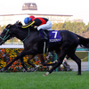 日曜競馬　展望