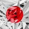 コラム 世界の大麻 日本の大麻