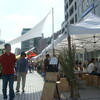 要注目、Farmer's Market＠国連大学