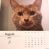 8月がはじまる。