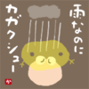 雨なのにカガクシュー