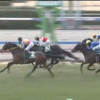 ２月２３日　勝負・注目レース結果　ー久々のダブル的中～♪