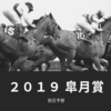 【競馬】２０１９ 皐月賞の前日予想