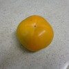 太秋柿