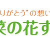 菜の花すまい企画の代表として