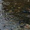 雨だったのでバイクの教習所を休んでしまった、という話し