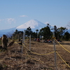 【鎌倉】天園ハイキングコース 2022/12/25