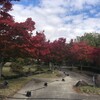 １０月３０日（日）連日の紅葉狩りきのうは慧日寺、天鏡台、土津神社、亀が城、道の駅はごった返しの混雑、オリックス大手をかける