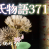 【源氏物語371 第13帖 明石33】明石入道は、源氏に娘についていろいろ話す。明石入道の愛嬌のある部分も見えた。