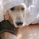 happyboylaki’s blog