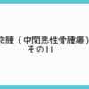 骨巨細胞腫（中間悪性骨腫瘍）闘病記〜その11〜