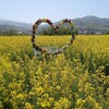 上山市の菜の花畑「ヴェンテンガルテン」とOra da cacao＆chouオラダカカオシューの上山秀。