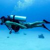 Dispelling the Myths Surrounding Why You Shouldn't Scuba Dive 
