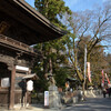 春の気配近江八幡その１