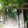 ヤマタノオロチ伝説の八重垣神社とイザナミ祀る神魂神社