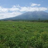 今日は富士山にでも行くか