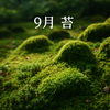 秋の訪れと苔の美 ― 9月、苔と出会う季節の扉をひらいて
