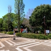 神奈川県 散歩日記 風吹く綾瀬市を旅して… No.2 自然豊かな城山公園から、桜咲く城山こみちへ。 