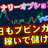 バイナリーオプション「平日もブビンガで稼いで儲ける！」ブビンガ取引