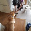 静岡組が帰っていき、少し寂しくなる。