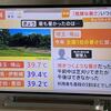 なぜ今年は？