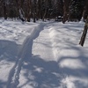 雪の参道