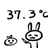 37.3℃