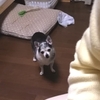 天気病み