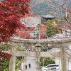 京都の紅葉2016～真如堂（真正極楽寺）