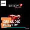 【HiFiGOニュース】最新の「See Audio Bravery Anniversary Limited Edition」登場！4つのアップグレードを実現！