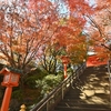 🍂穴八幡宮の紅葉