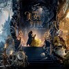久しぶりディズニー　【映画感想】美女と野獣　オススメ！ファンタジー