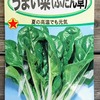 ふだん草（スイスチャード）の水耕栽培をしています。ツヤツヤした葉がとても美味しそうな葉物野菜です