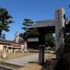 香積院　　　江戸彼岸桜　　樹齢：100年