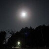 今夜の月