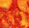 【つくれぽ1000件】エビチリの人気レシピ 16選｜クックパッド1位の殿堂入り料理