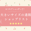 【2025.7.19更新】通販できるお店のリンク集【大きいサイズ】