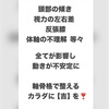 軸骨格としての頭部❗️重要！