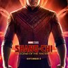『シャン・チー／テン・リングスの伝説』：主人公がどんな人間なのかさっぱりわからなかった