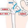   【基礎から学ぶ】各論：下肢の骨折【整形外科学】