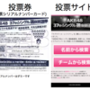 AKB48総選挙投票券のヤフオク詐欺事件とAKBモデルの限界