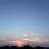 Photo No.2354 / 忙しすぎた