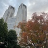（紹介：植物）今回は、東京都庁エリアで見かけた秋の紅葉を、ご紹介いたします。