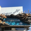 「沼津港深海水族館の本」と実際行って来た話