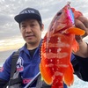 2021.6.5地磯早朝ショアジギング