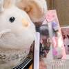 ねずみさんのぬいぐるみを買いました