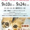 休業とかお知らせとか