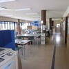 静かな作業場　ブルーベリーの収穫　