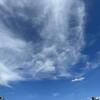 かき氷は抹茶みるく・お蕎麦はちらし寿司と